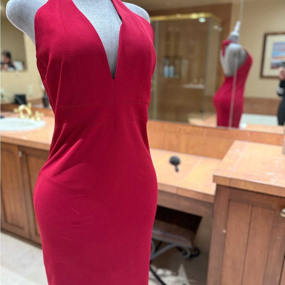 Dress the Population Scarlet Halter Backless Dress